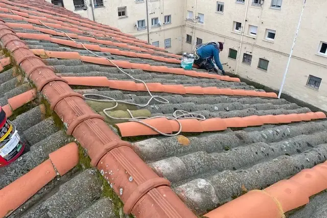 Nettoyage d'une toiture couverte de mousse
